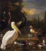 HONDECOETER, Melchior d A Pelican and Other Birds Near a Pool, Spain oil painting artist